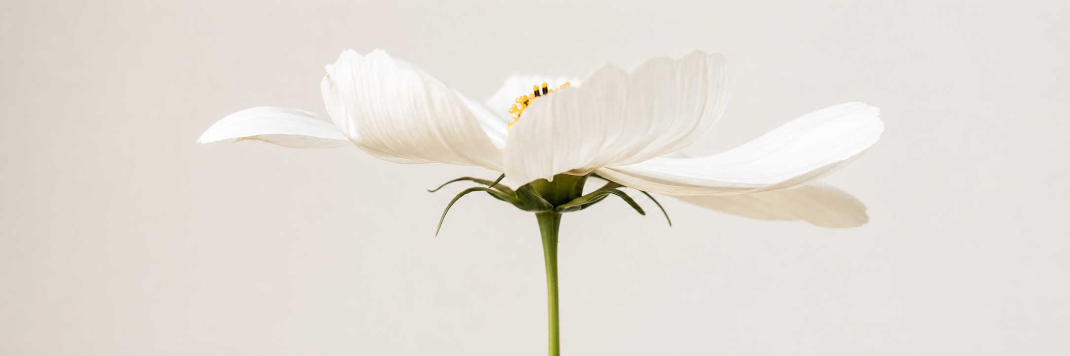 When Everything Changes: Grief Support for Families After Loss